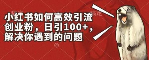 小红书如何高效引流创业粉,日引100+,解决你遇到的问题【揭秘】