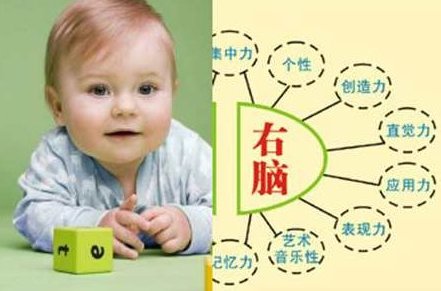 《右脑婴语》儿童智力提升全7CD+电子书,右脑婴语,儿童智力提升,全7CD电子书,第1张