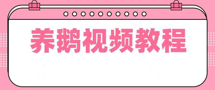 养鹅技术视频教程,视频教程,第1张 养鹅技术视频教程,视频教程,第1张