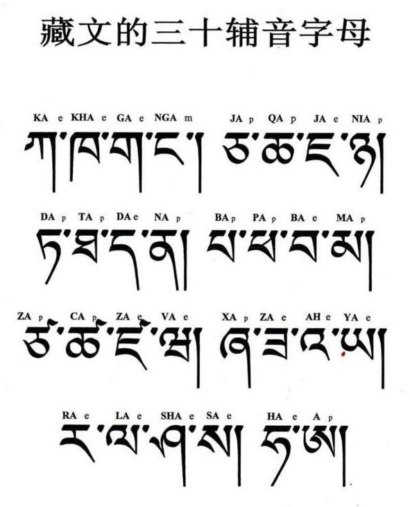 藏语学习视频语音教程 学藏文会话拼音入门教材 学说安多康巴拉萨