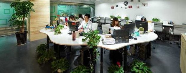 祝文欣 代理商如何公司化运作,课程,祝文欣,第1张 祝文欣 代理商如何公司化运作,课程,祝文欣,第1张