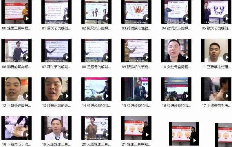 东方轻柔整骨正骨手法中级实操班月林无创讲座视频,东方轻柔整骨正骨手法,中级实操班,无创讲座视频,第1张
