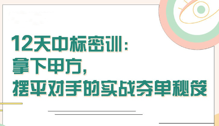 【张金洋】12天中标密训—拿下大单，摆平对手的实战夺单秘笈，张金洋揭秘12天中标密训，夺单制胜，轻松拿下大单的实战策略