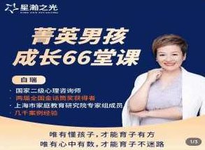 白大姐菁英男孩成长在线视频课66堂，白大姐菁英男孩成长指南，66堂在线视频课助力孩子全面发展