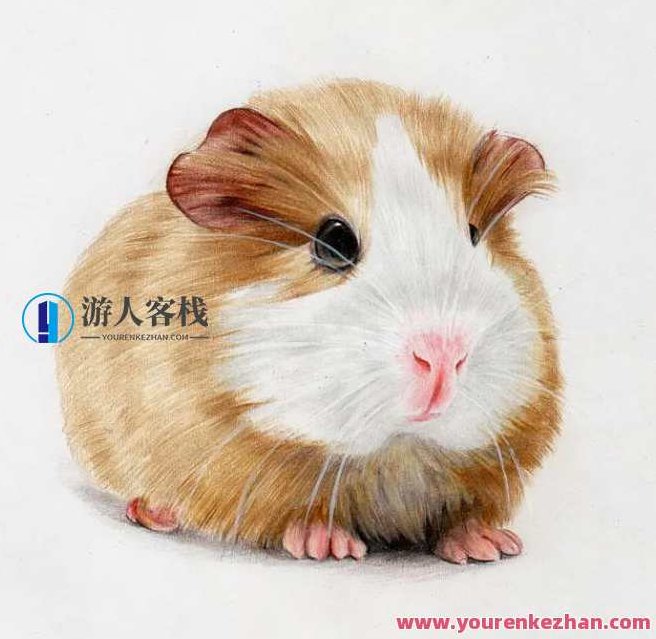 零基础学彩铅2020 彩铅绘画设计，零基础彩铅绘画入门2020，从基础到设计的探索