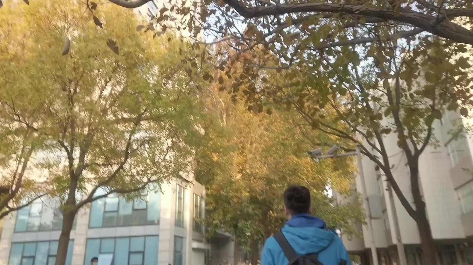 郇中丹 北京师范大学《数学分析》全233讲，郇中丹，北京师大数学分析全233讲，深度解析与学习指南