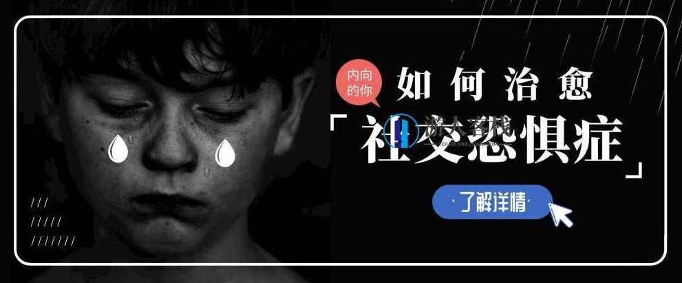 如何治愈你的社交恐惧症 百度网盘,社交恐惧症的治愈之道,百度网盘资源,第1张 如何治愈你的社交恐惧症 百度网盘,社交恐惧症的治愈之道,百度网盘资源,第1张