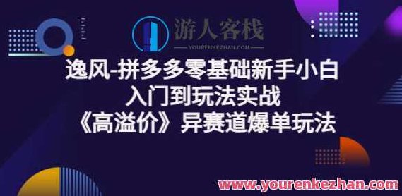 逸风-拼多多零基础新手小白入门到玩法实战《高溢价》异赛道爆单玩法实操课，拼多多新手入门实战课，逸风-高溢价异赛道爆单玩法，逸风独家解析，拼多多零基础新手小白高阶高溢价异赛道爆单策略实战课程