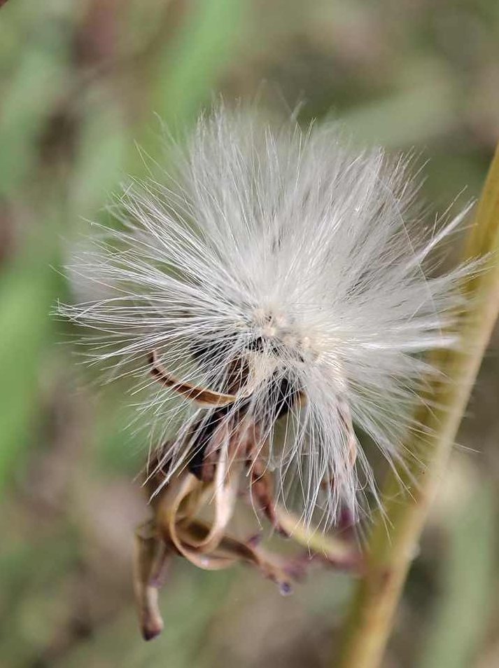 【读书】巴菲特之道，读书巴菲特之道，投资智慧与人生哲学探索