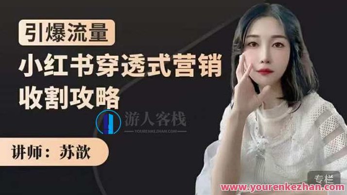 苏歆：小红书穿透式营销收割攻略，引爆流量玩转小红书，小红书引流秘籍，穿透式营销收割攻略，爆款玩法玩转小红书，苏歆，小红书穿透式营销策略与爆款玩法解析，引爆流量玩转小红书的秘诀与实战经验