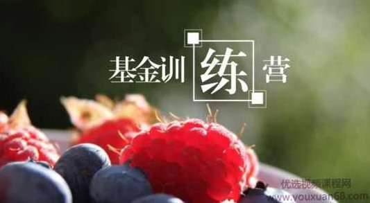 基金投资训练营,基金投资训练营,开启财富增长之旅的秘诀与策略,课程,赚钱,训练营,第1张 基金投资训练营,基金投资训练营,开启财富增长之旅的秘诀与策略,课程,赚钱,训练营,第1张