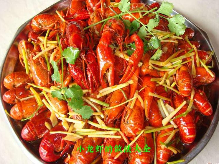 小龙虾的做法大全_麻辣小龙虾，波士顿龙虾等，小龙虾烹饪宝典，麻辣小龙虾、波士顿龙虾及其他美味做法