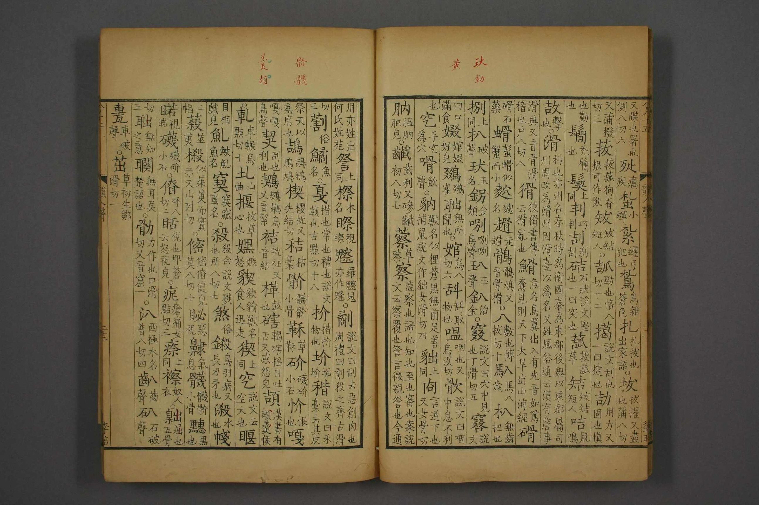 曾晓渝 汉语音韵学概要全20集，曾晓渝解析，汉语音韵学概览全20集