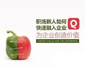 【职业素质】职场新人如何快速融入企业，为企业创造价值，职业素质职场新人快速融入企业，策略与价值共创之道