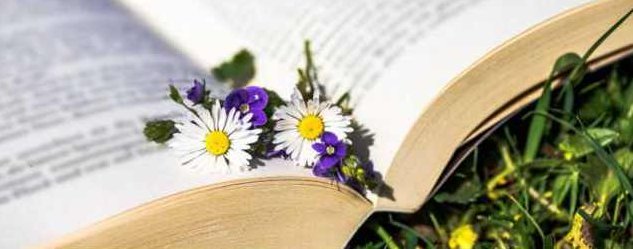 惜取眼前人 （播音-李野默) 全40集，惜取眼前人，李野默深情演绎全40集广播剧