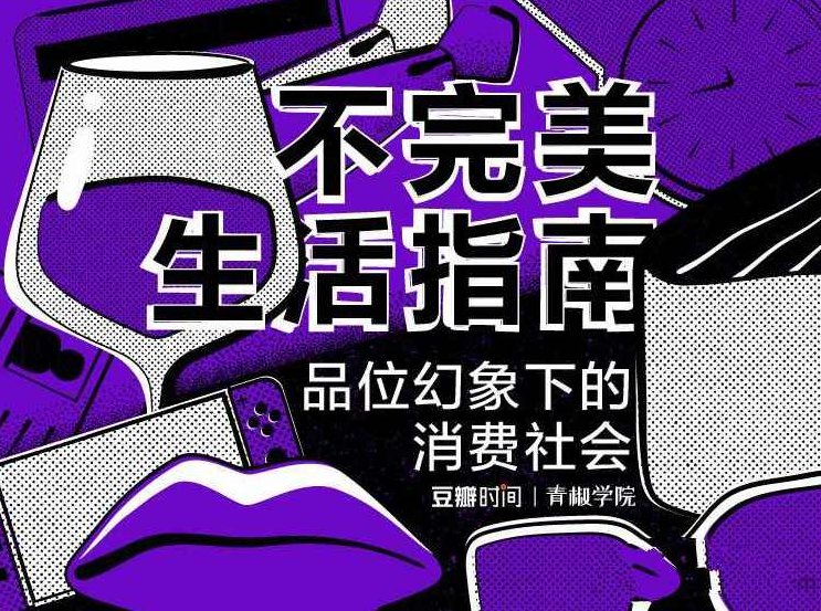 不完美生活指南—品味幻象下的消费社会，不完美生活指南，探索幻象下的消费社会之谜