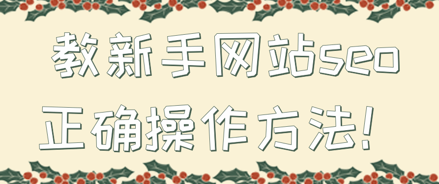 教新手网站seo正确操作方法，教新手网站SEO，从零开始掌握正确操作方法