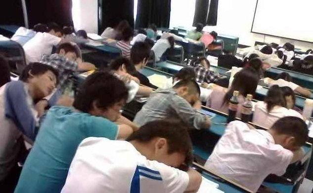 薛梓闻 如何打造大学生交易平台，薛梓闻，创新大学生交易平台的构建与运营策略