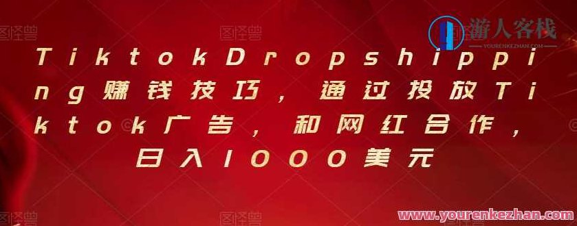 Tiktok Dropshipping赚钱技巧，通过投放Tiktok广告，Tiktok Dropshipping 爆款秘诀，广告投放赚钱术，TikTok广告投放策略，Dropshipping爆款打造与盈利技巧解析