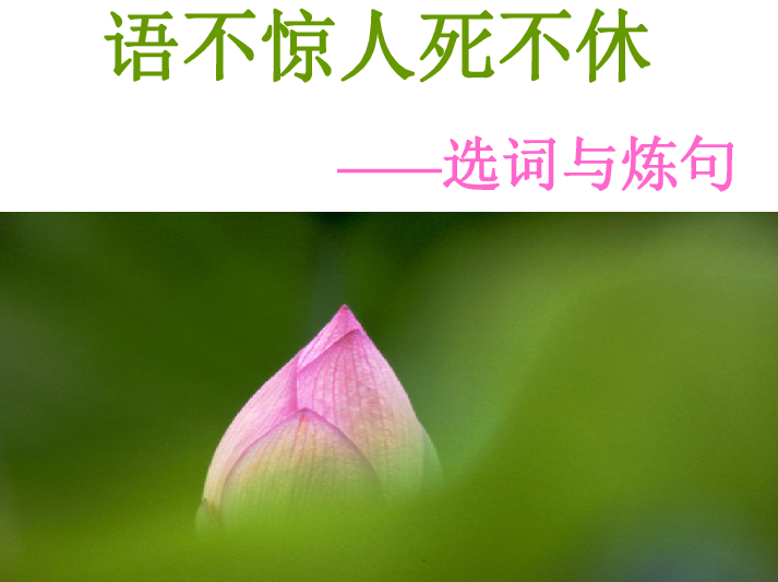 语不惊人死不休 好好说话274课，语不惊人死不休，深度解析好好说话的艺术与技巧