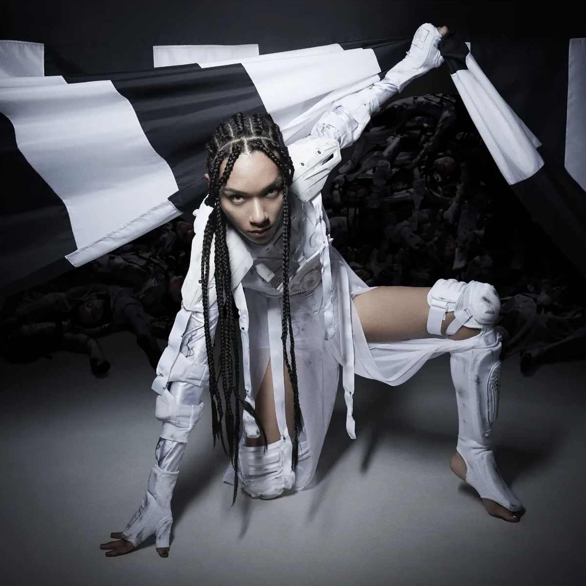 女王蜂全集，女王蜂全集，探索未知的秘密世界