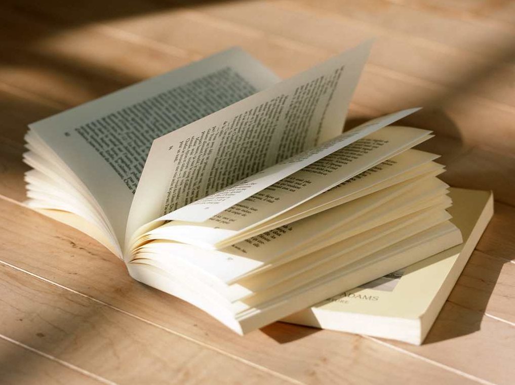 读书 先发影响力,成功,影响力,读书,第1张 读书 先发影响力,成功,影响力,读书,第1张