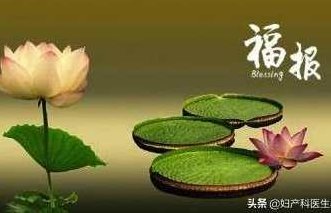 潘长军 城市楼房风水（全集视频）潘长军解读城市楼房风水奥秘，全系列视频教程