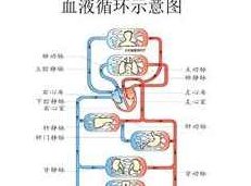 2019高考生物必修3系统提分班_高三生物课程讲解及提分训练,2019年高三生物必修3系统提分班,深度讲解与高效提分训练课程,课程,教程,必修课,第1张 2019高考生物必修3系统提分班_高三生物课程讲解及提分训练,2019年高三生物必修3系统提分班,深度讲解与高效提分训练课程,课程,教程,必修课,第1张