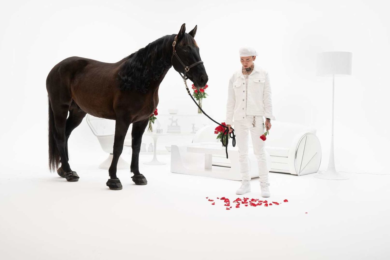 黑马王子 伏击涨停的高招 康桥战法，康桥战法，黑马王子揭秘涨停板伏击高招的实战策略