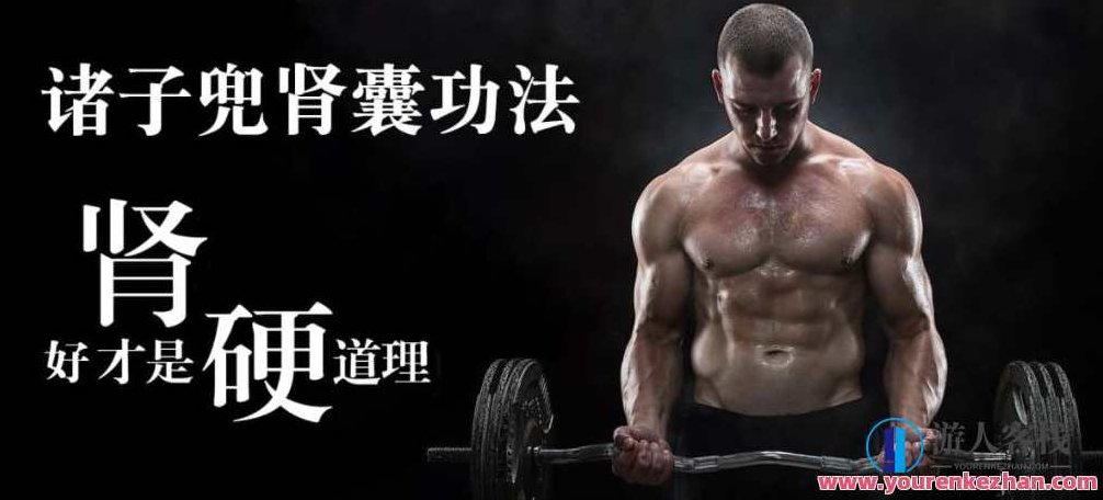 哲龙强肾功,心脾两虚的调理,诸子兜肾囊法，哲龙强肾功，心脾两虚调理秘法与诸子兜肾囊法探索