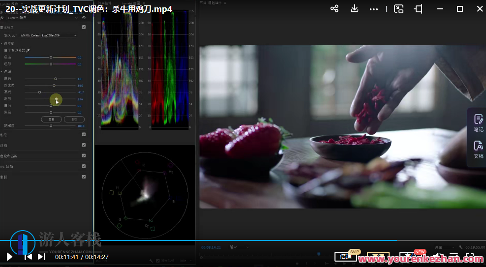 虚空光影炮长适合普通人的PR 达芬奇调色课小白上手调色百度云盘分享,课程,百度云盘分享,第3张