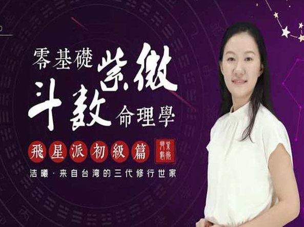 陈龙羽 紫薇斗数职业保证班，陈龙羽紫薇斗数职业保障班，深度解析与未来职业规划