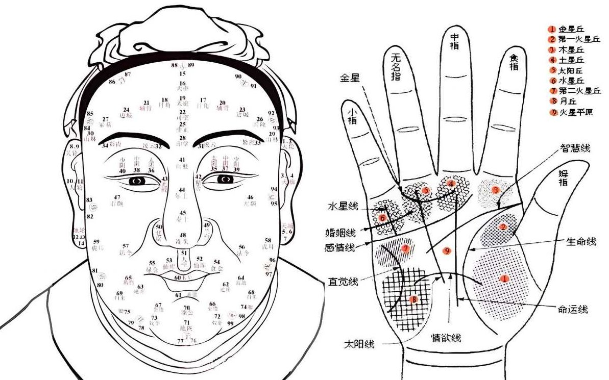 林盛翰 手相学教学(全集视频)林盛翰,手相学教学全解析(全集视频)