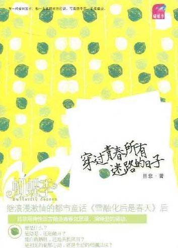 穿过青春所有迷路的日子 001-030集，穿越迷雾，青春的探索与成长之旅 001-030集