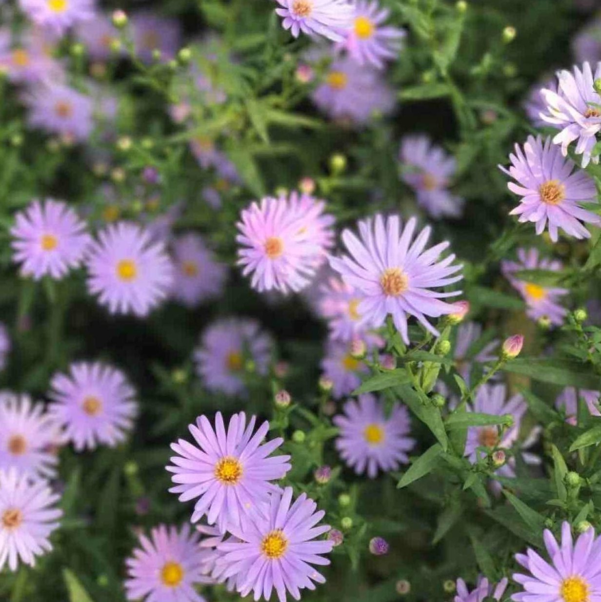 冬曦好讲究(全集)(播音——梁冬_林曦)冬曦好讲究,梁冬与林曦的对话全集——深度解析与感悟