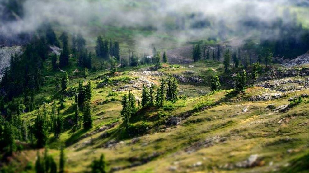 心灵面具 101种心理防御，心灵面具，深度探索101种心理防御机制