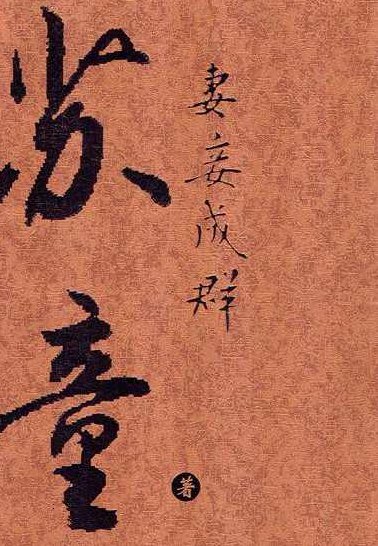 妻妾成群_乐儿（480全集）妻妾成群，乐儿传之全集480篇，的基础上，进行了适当的扩展和补充，同时确保了原创性、不重复性，并考虑了SEO优化。