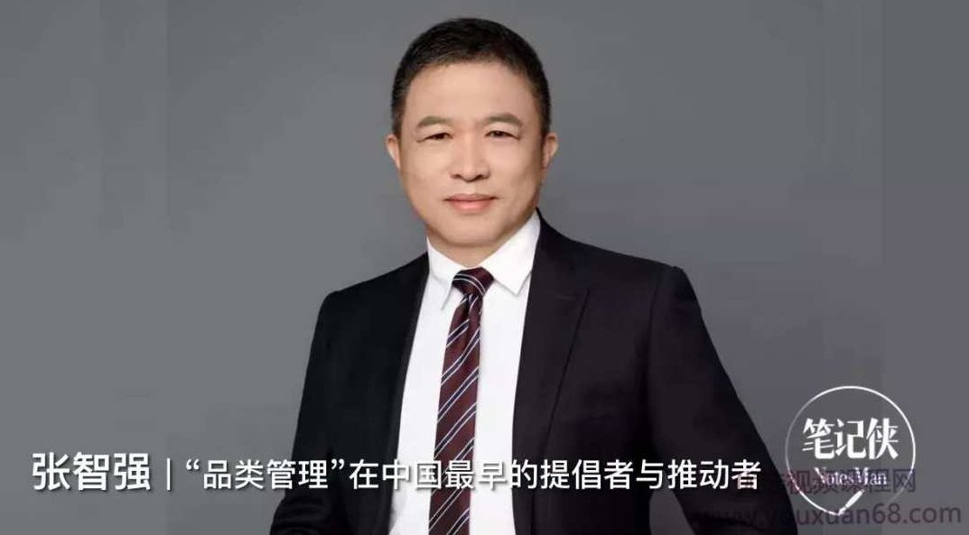 张智强·品类管理思维课，张智强，品类管理思维与商业策略的深度解析