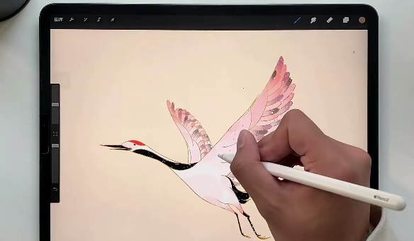 Procreate绘画课，Procreate绘画课，从基础到进阶的创意之旅