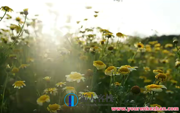 微醺十月摄影班2022年2月结课 百度云盘分享,微醺十月摄影班,2022年2月结课作品百度云盘独家分享,百度云盘分享,2022,结课,第1张 微醺十月摄影班2022年2月结课 百度云盘分享,微醺十月摄影班,2022年2月结课作品百度云盘独家分享,百度云盘分享,2022,结课,第1张