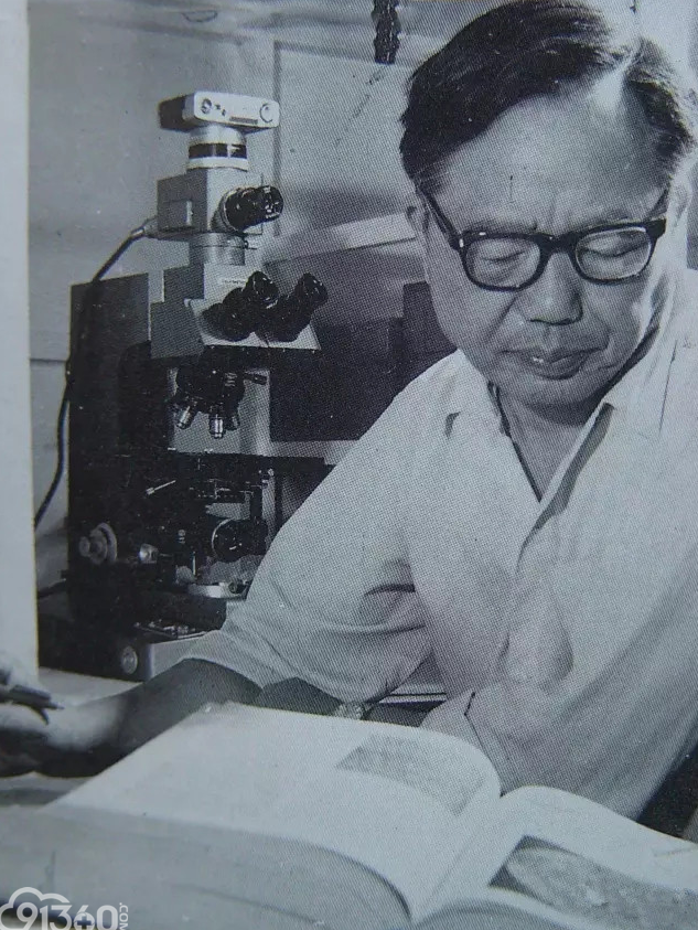 李志尚 系统培训课程U盘珍藏版现货白银精简易学实用系统课程，李志尚系统培训课程，U盘珍藏版——白银精简版实用系统培训易学课程