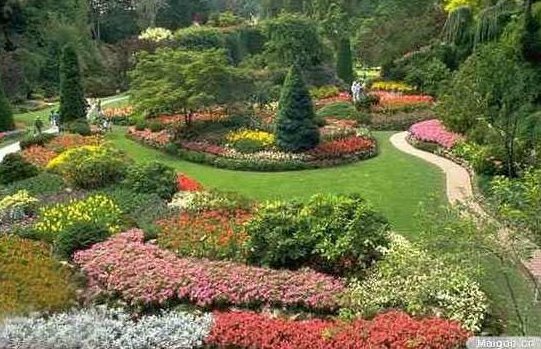 《园林植物造景设计》秦华全11讲,园林植物造景,秦华全,植物配置,第1张 《园林植物造景设计》秦华全11讲,园林植物造景,秦华全,植物配置,第1张