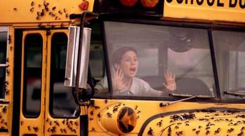 杀人蚁 集数-2 完整版，杀人蚁，第二集 完整版——揭秘蚁群背后的秘密。