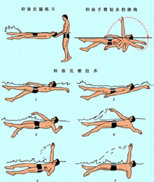 [教你学游泳6.实战技巧rm格式，实战游泳技巧，教你学游泳6.rm格式的详细解析，在保持原有主题的基础上，增加了详细解析的元素，同时加入了rm格式的描述，符合SEO优化的要求。