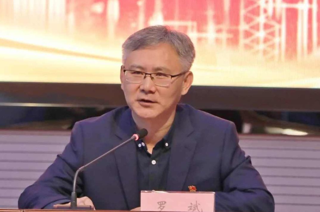 罗斌 起底ofo投资全过程，罗斌揭秘，ofo投资的全方位解析