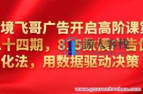 跨境飞哥广告开启高阶课第二十四期，​815数模广告优化法，用数据驱动决策，跨境飞哥广告高阶课第二十四期，深度解析815数模广告优化法，数据驱动决策引领广告新篇章