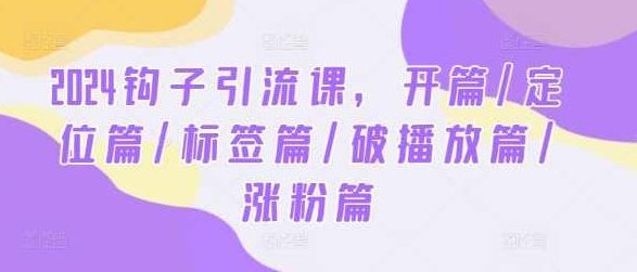 2024钩子引流课，开篇/定位篇/标签篇/破播放篇/涨粉篇,钩子引流课,定位与标签策略,涨粉与破播放技巧,第1张