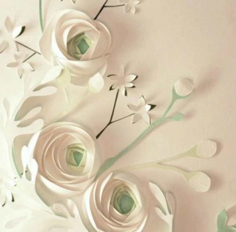 剪纸视频教程儿童立体纸雕手工制作纸藤编织纸艺零基础自学教程，儿童立体纸雕手工制作，零基础剪纸视频教程与纸藤编织艺术指南