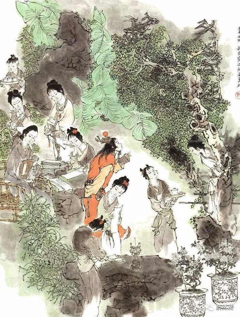 蒋勋 细说红楼梦有声书8CD全集，蒋勋解读红楼梦有声书，8CD全集，深度解析经典之作