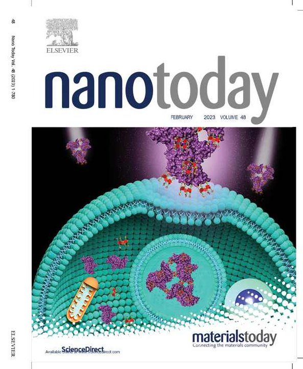 新世界观之卓老师聊科技第二季，新世界观，卓老师深度解析科技趋势第二季